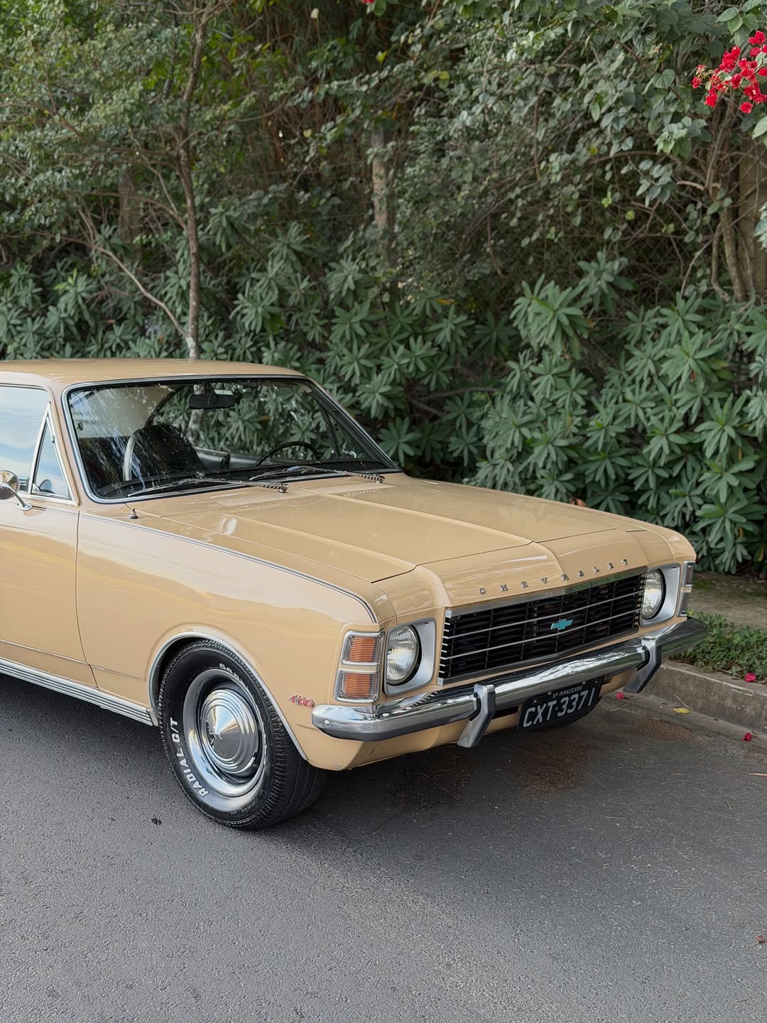 CHEVROLET OPALA COUPE ESPECIAL - Imagem 2