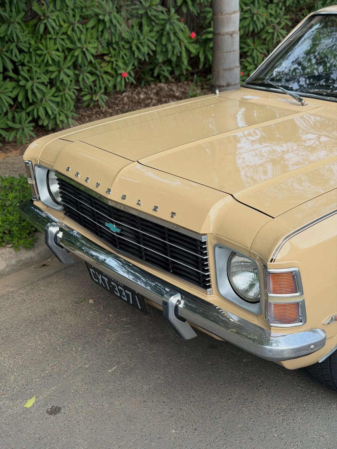 CHEVROLET OPALA COUPE ESPECIAL - Imagem 5
