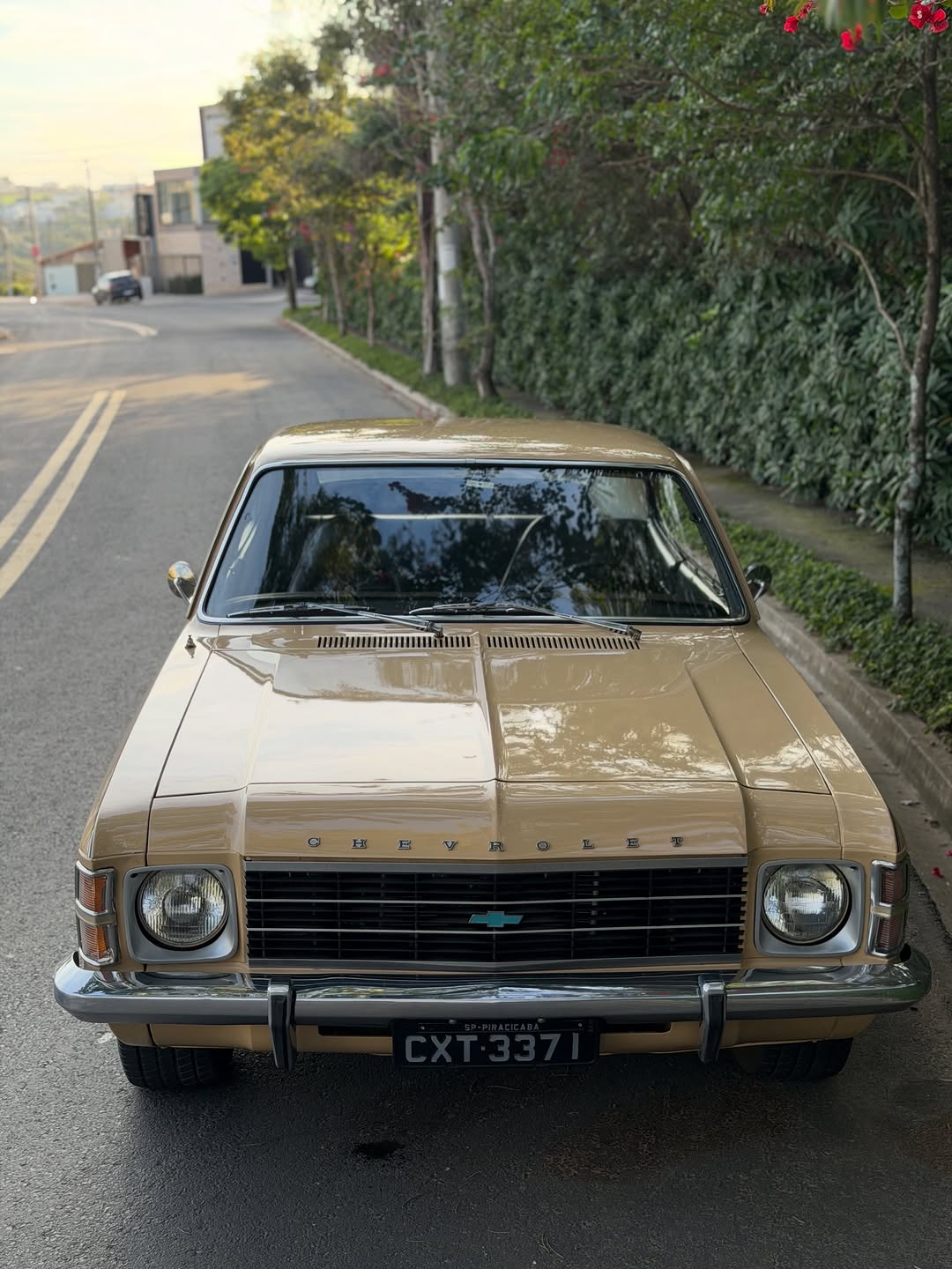 CHEVROLET OPALA COUPE ESPECIAL - Imagem 7