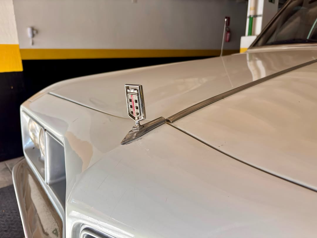 DODGE MAGNUM - Imagem 2