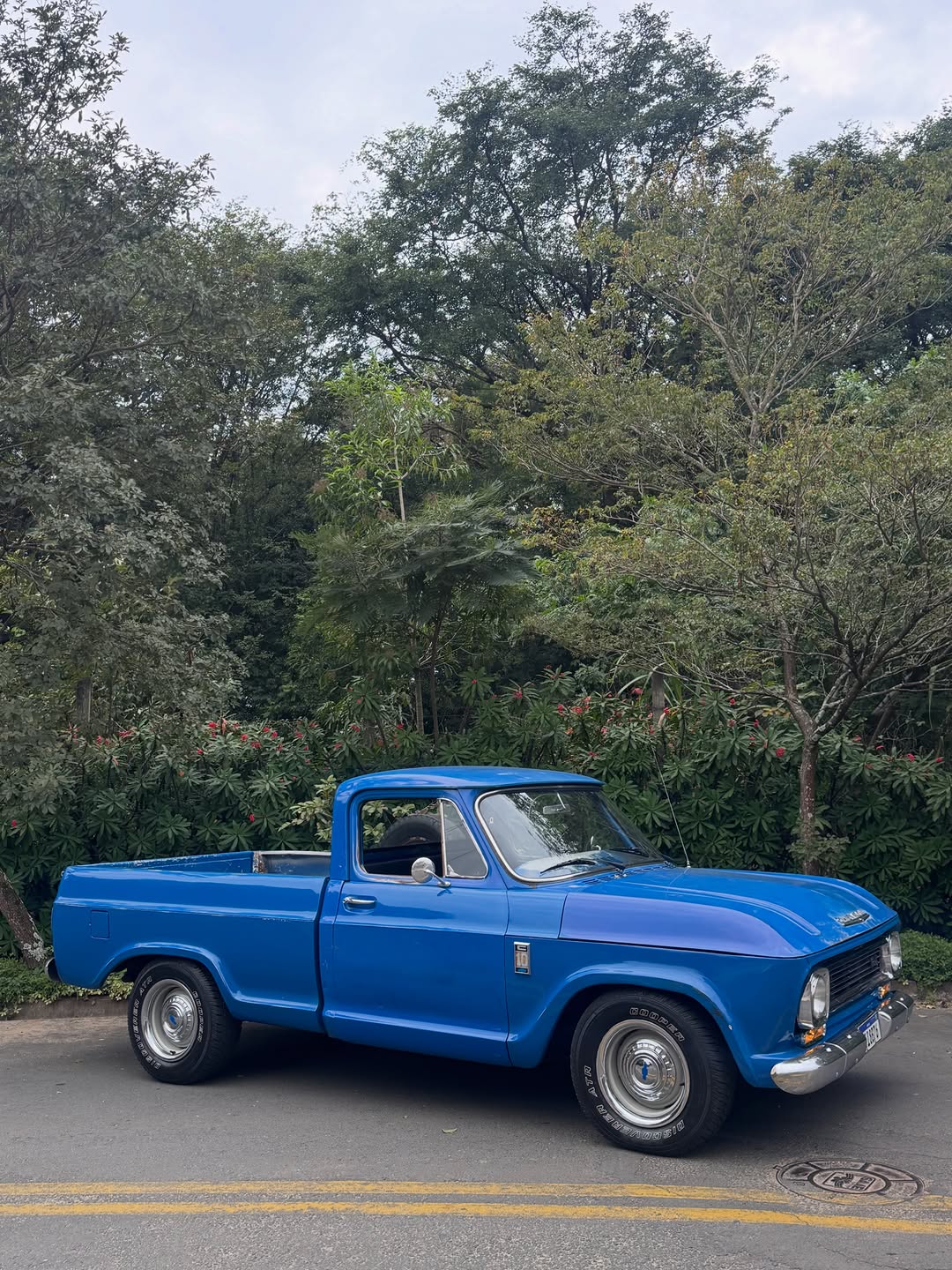 CHEVROLET C10 - Imagem 1