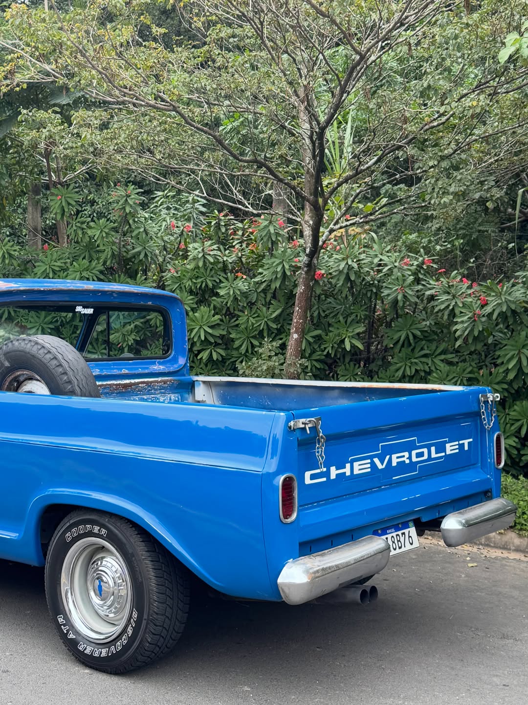 CHEVROLET C10 - Imagem 2