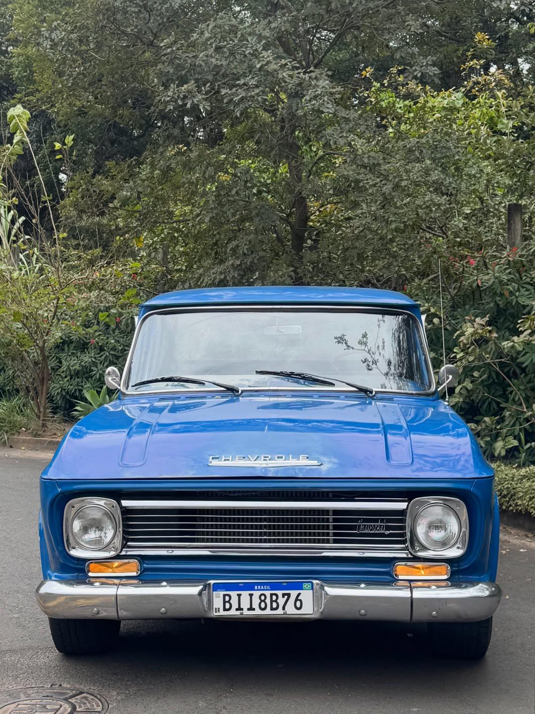 CHEVROLET C10 - Imagem 3