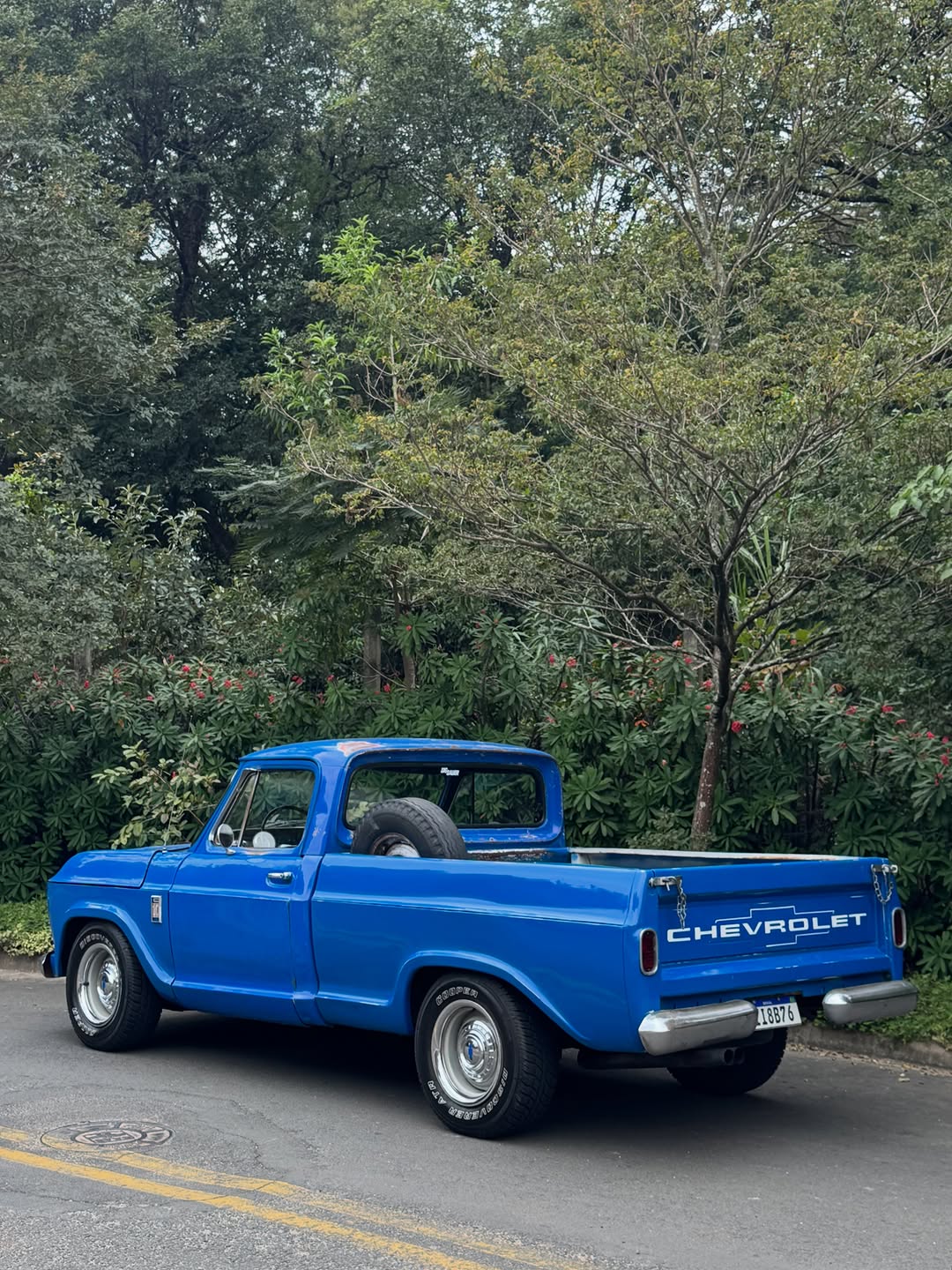 CHEVROLET C10 - Imagem 4