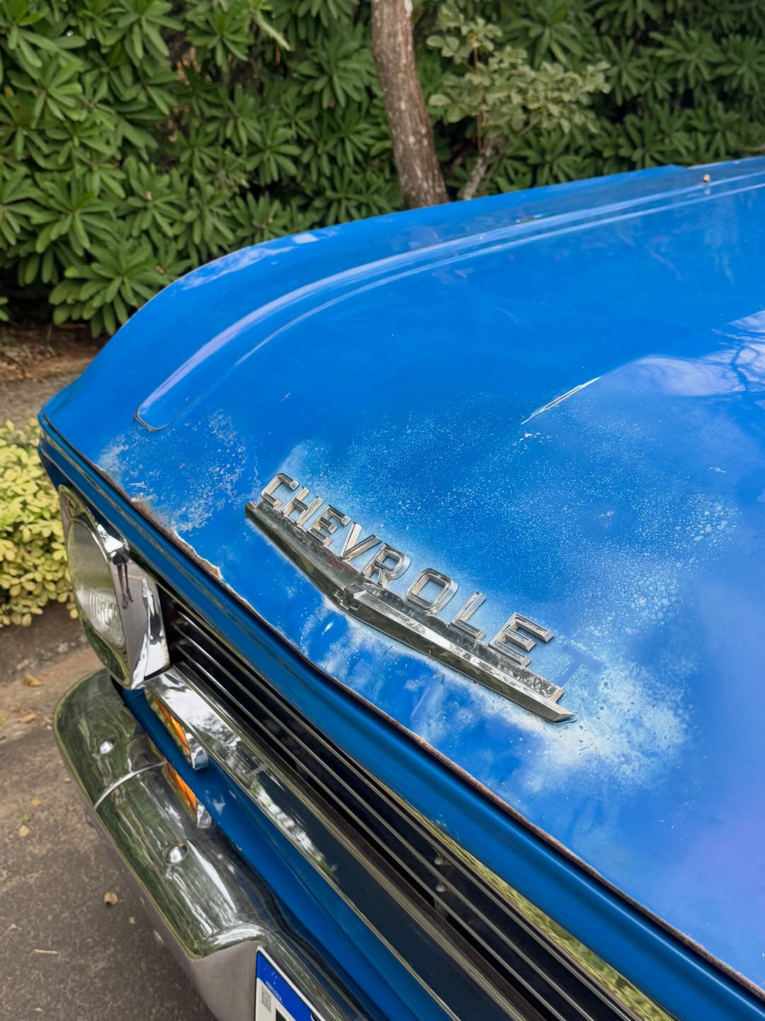 CHEVROLET C10 - Imagem 6
