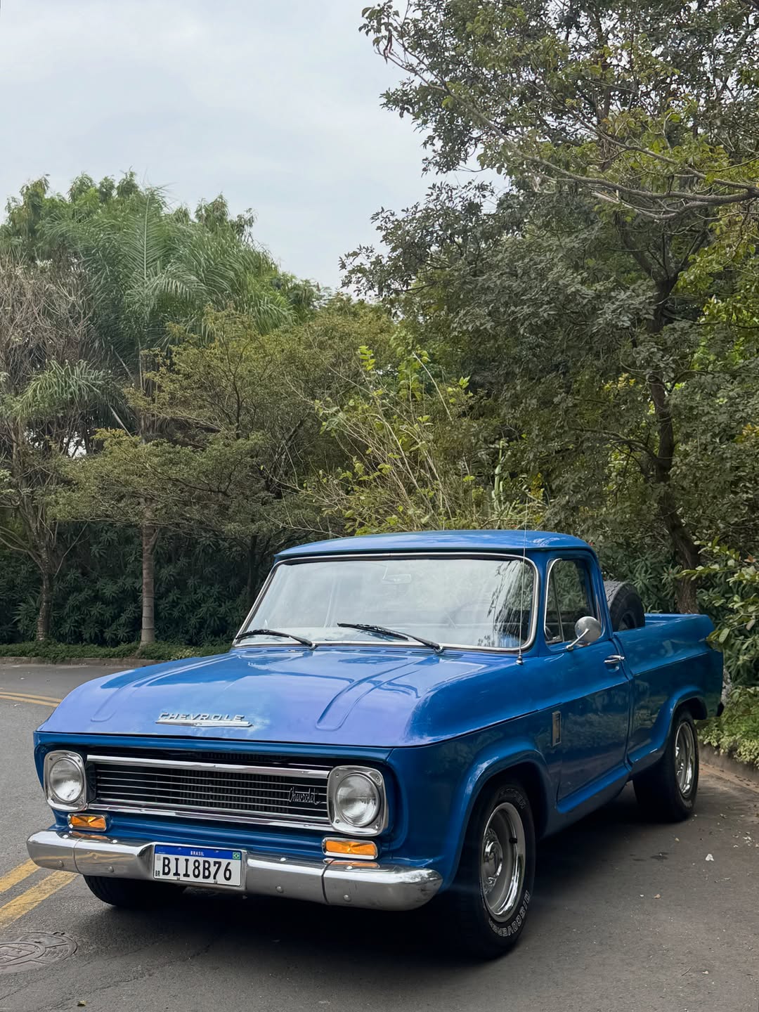 CHEVROLET C10 - Imagem 7