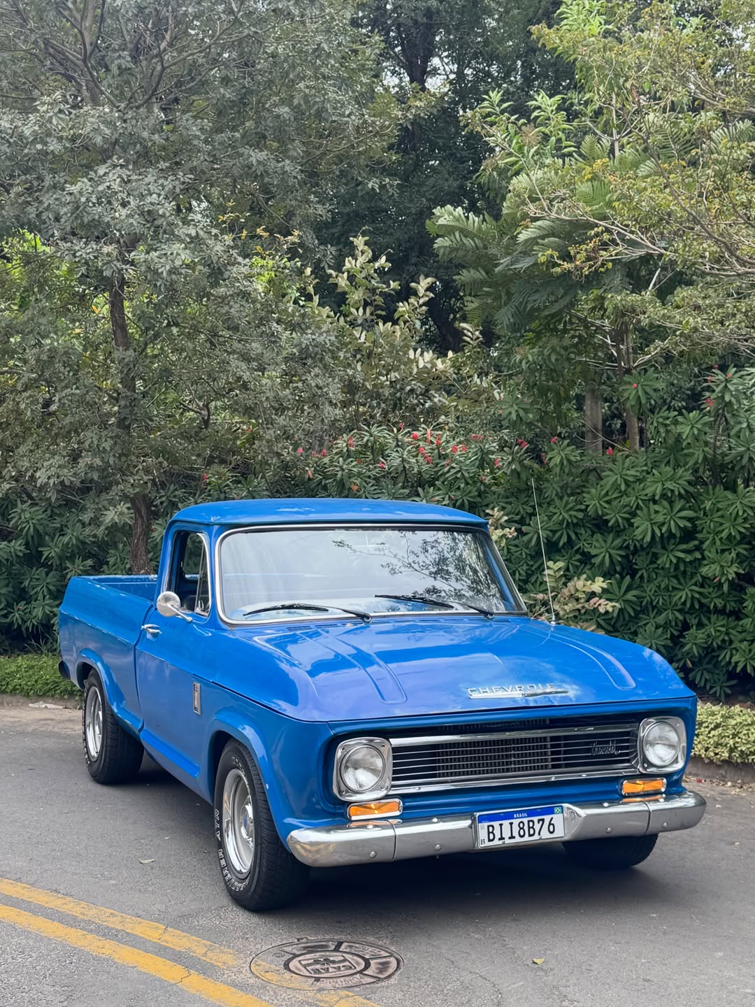 CHEVROLET C10 - Imagem 8
