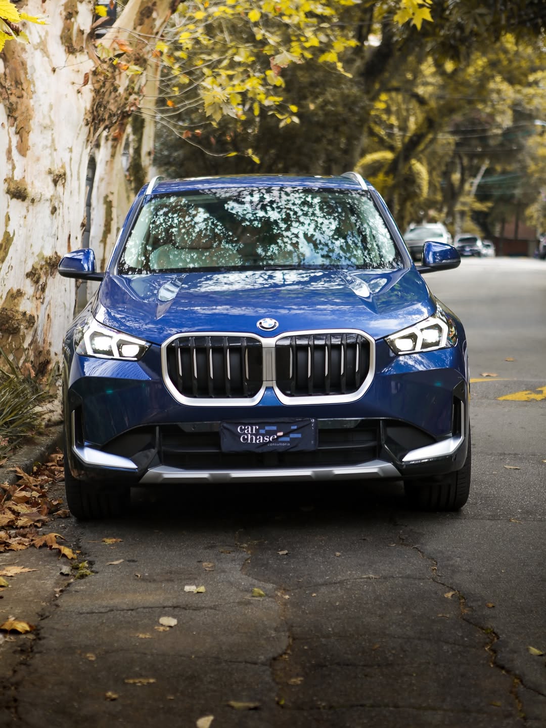 BMW X1 SDRIVE XLINE 20I - Imagem 3
