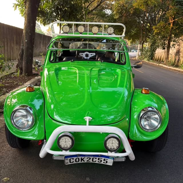 BAJA BUGGY - Imagem 3