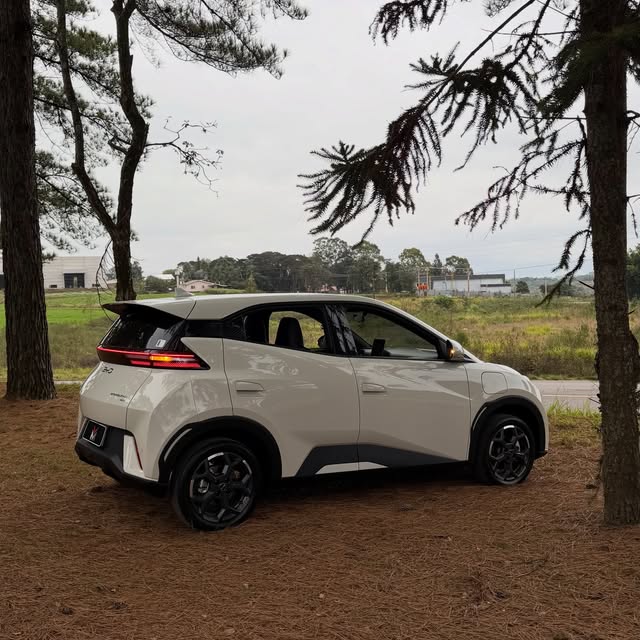 BYD DOLPHIN MINI GS - Imagem 10