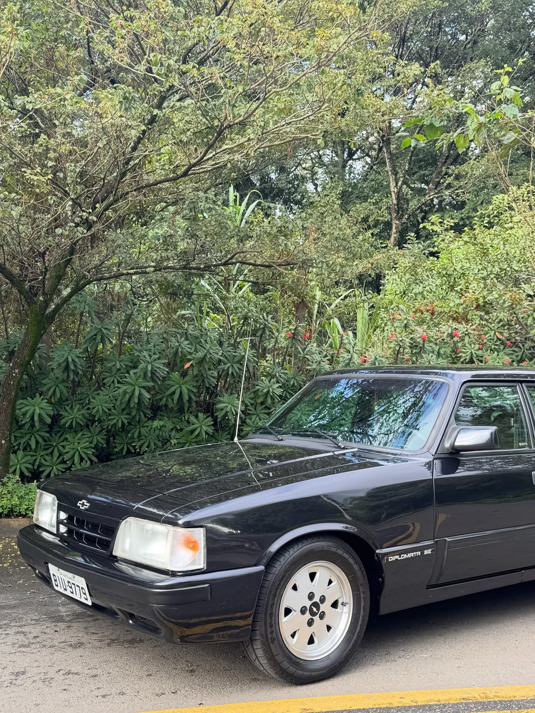CHEVROLET OPALA DIPLOMATA - Imagem 2