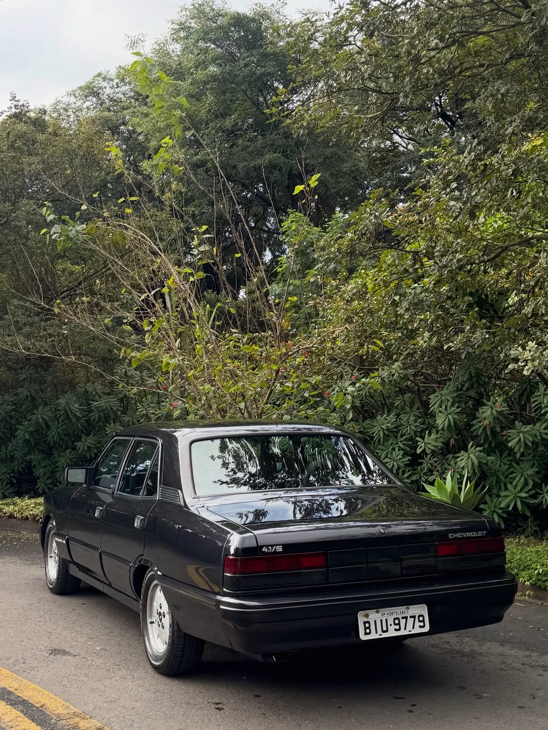 CHEVROLET OPALA DIPLOMATA - Imagem 3