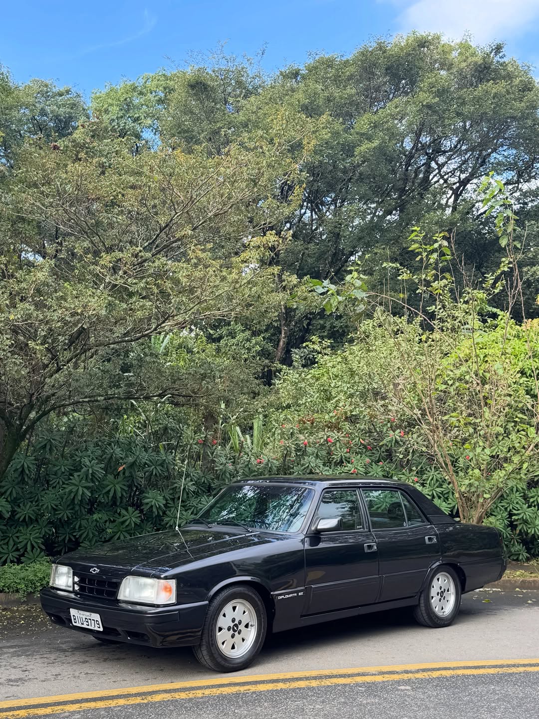 CHEVROLET OPALA DIPLOMATA - Imagem 4