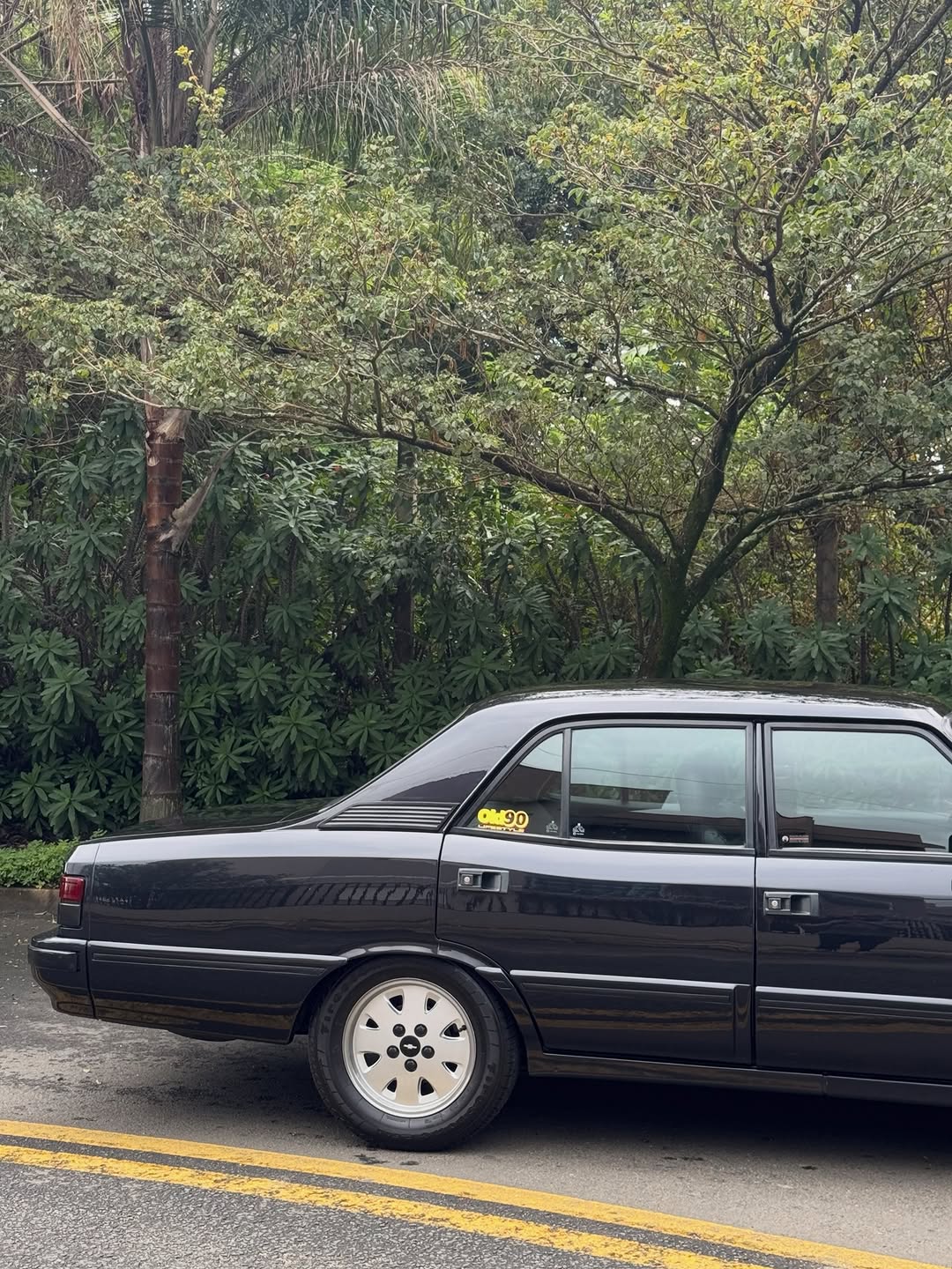 CHEVROLET OPALA DIPLOMATA - Imagem 5