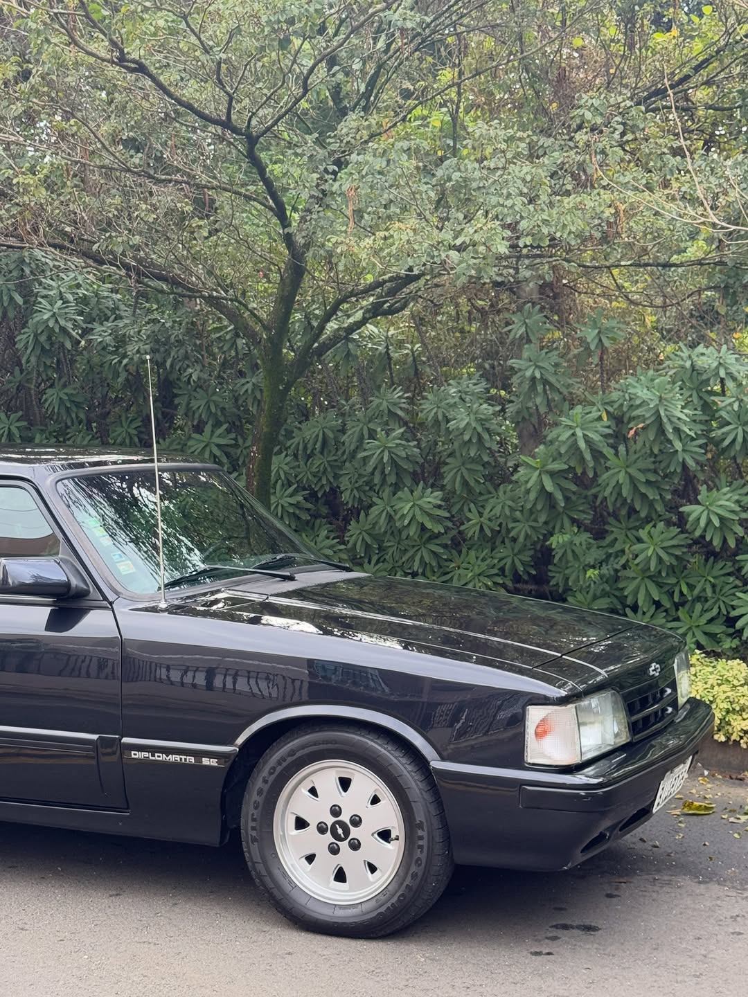 CHEVROLET OPALA DIPLOMATA - Imagem 9