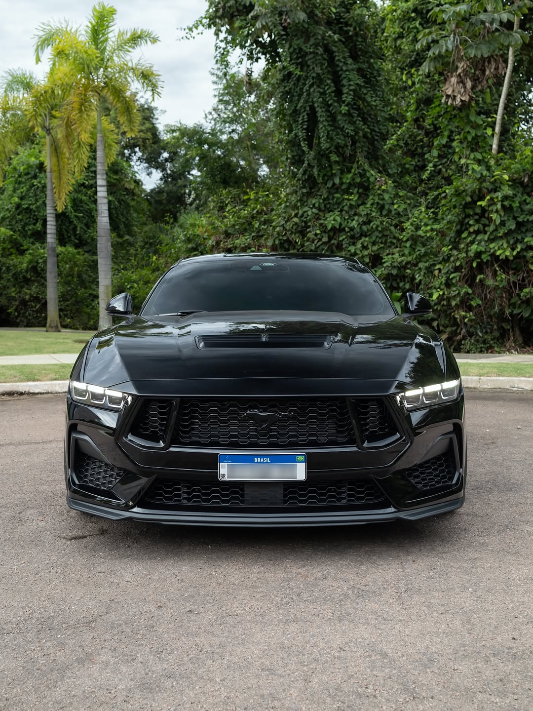 FORD MUSTANG GT PERFORMANCE - Imagem 2