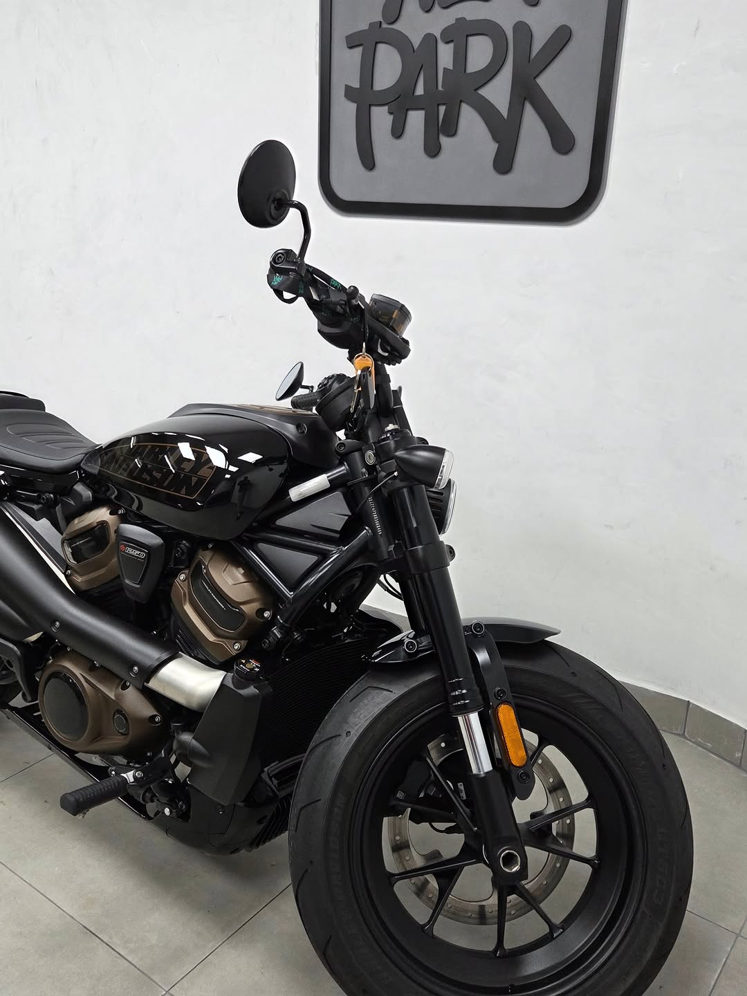 HARLEY-DAVIDSON SPORTSTER S - Imagem 5