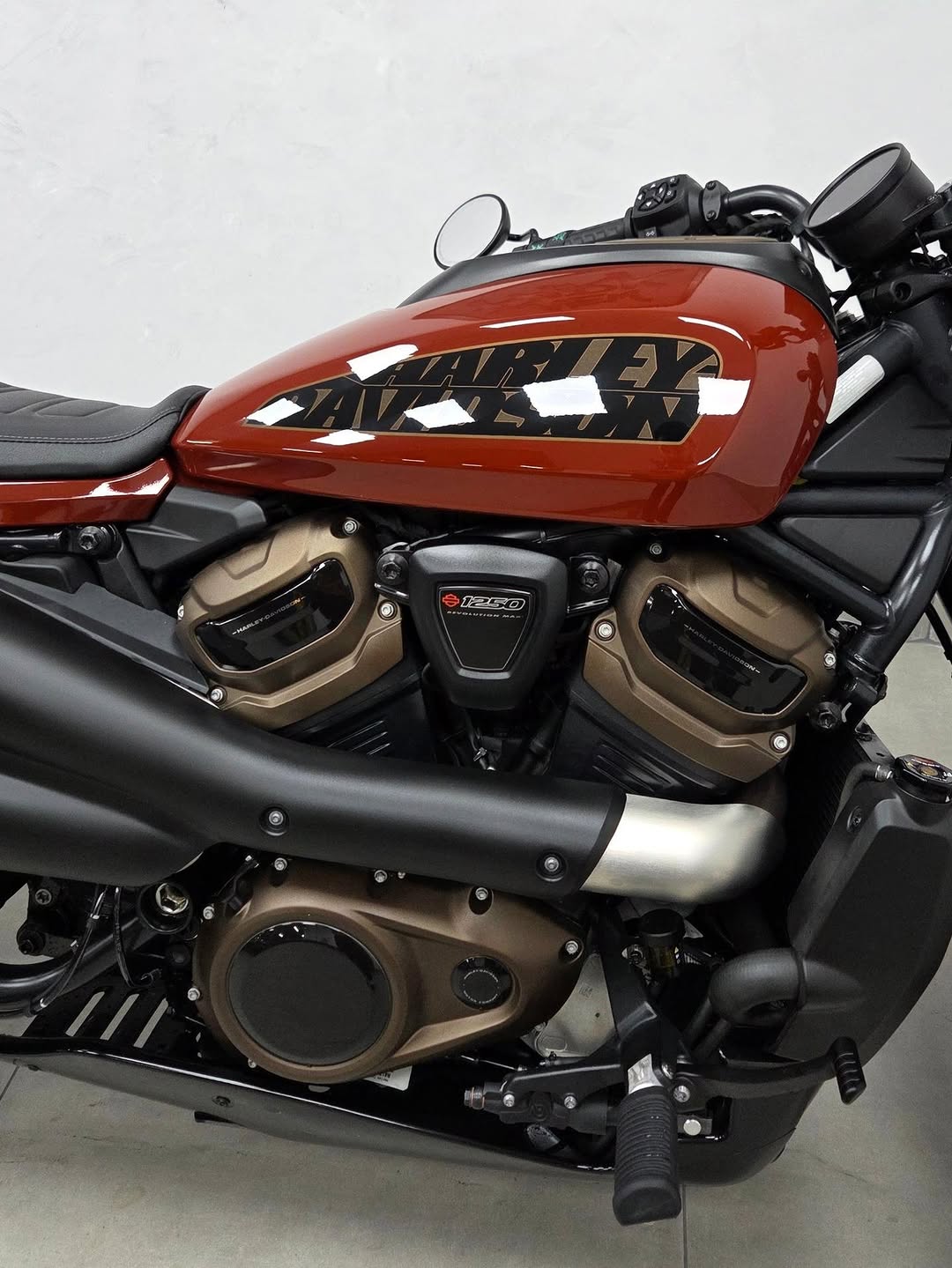 HARLEY-DAVIDSON SPORTSTER S - Imagem 6