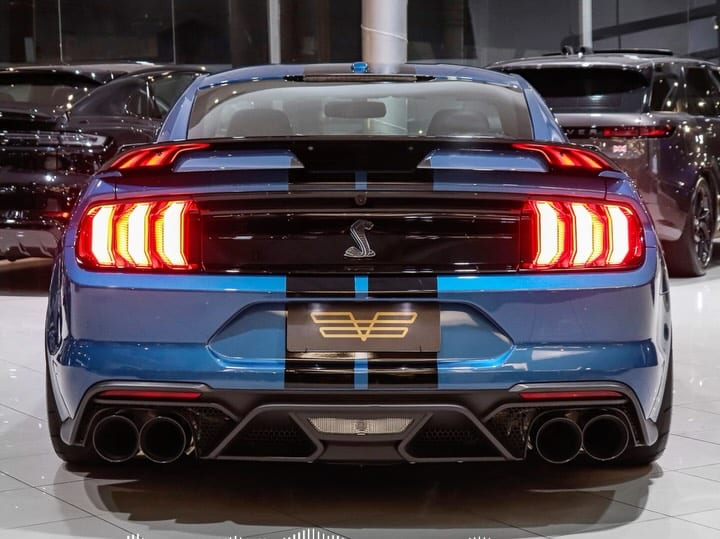 FORD MUSTANG SHELBY GT500