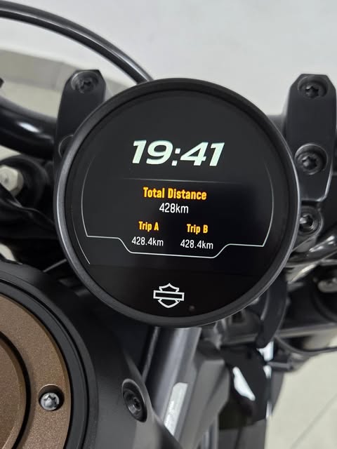 HARLEY-DAVIDSON SPORTSTER S - Imagem 14