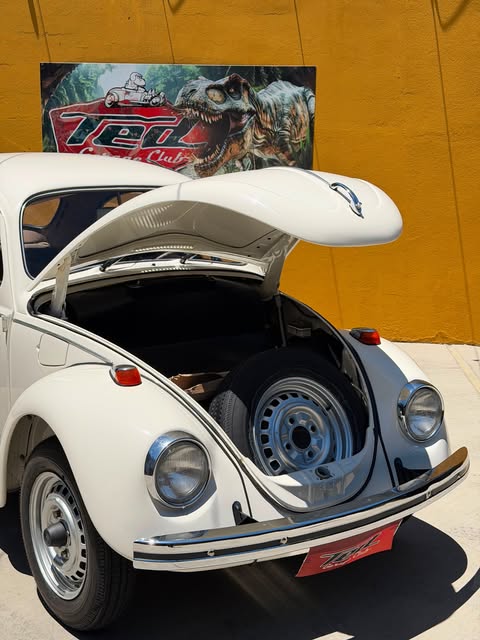 VOLKSWAGEN FUSCA 1300 L - Imagem 16