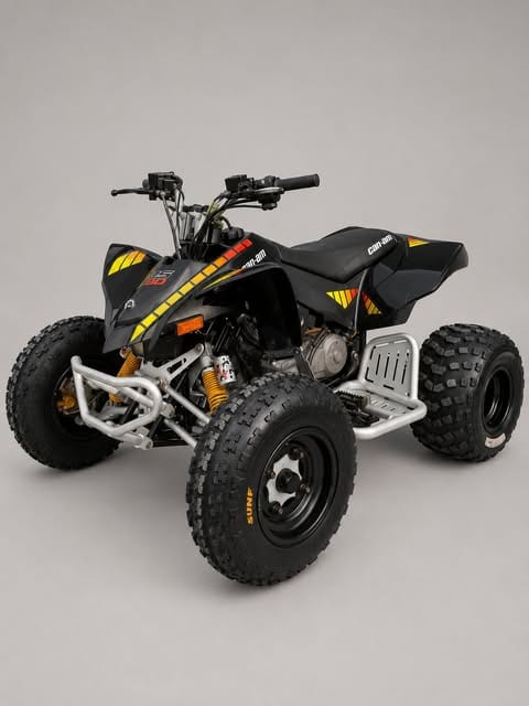 CAN-AM DS 90 X