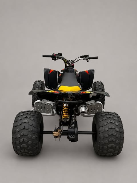 CAN-AM DS 90 X - Imagem 4