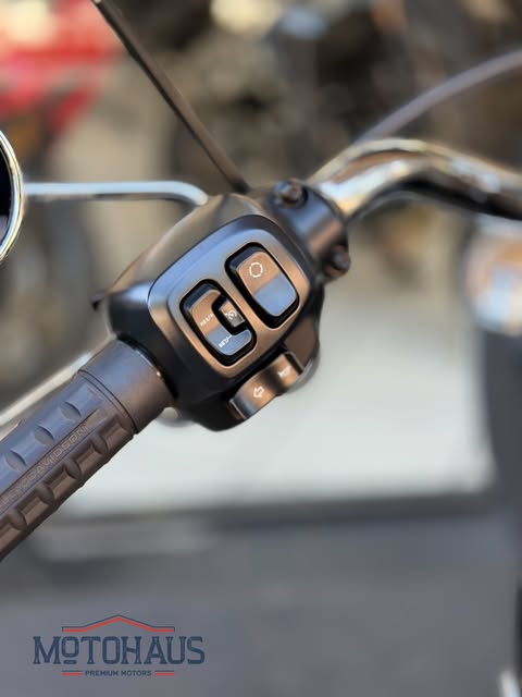 HARLEY-DAVIDSON FAT BOY - Imagem 15