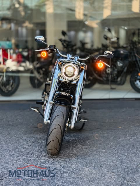HARLEY-DAVIDSON FAT BOY - Imagem 3