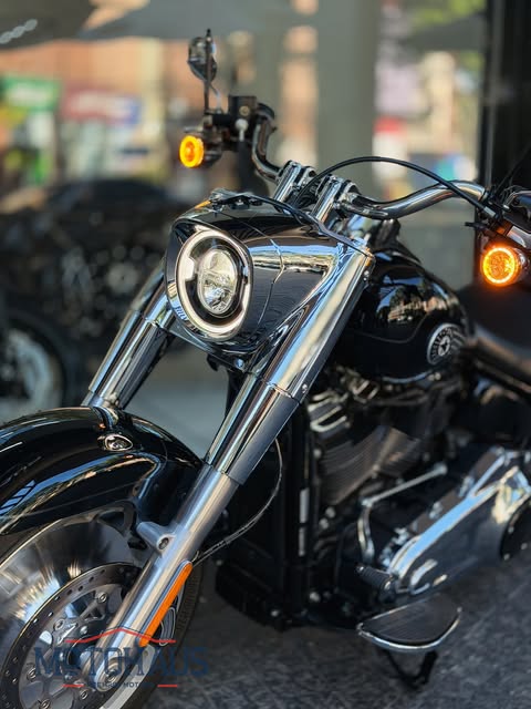 HARLEY-DAVIDSON FAT BOY - Imagem 8
