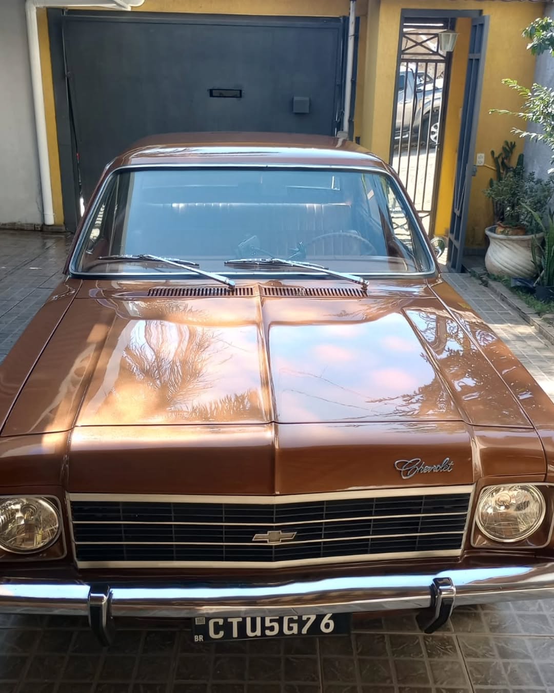 CHEVROLET OPALA COMODORO - Imagem 10