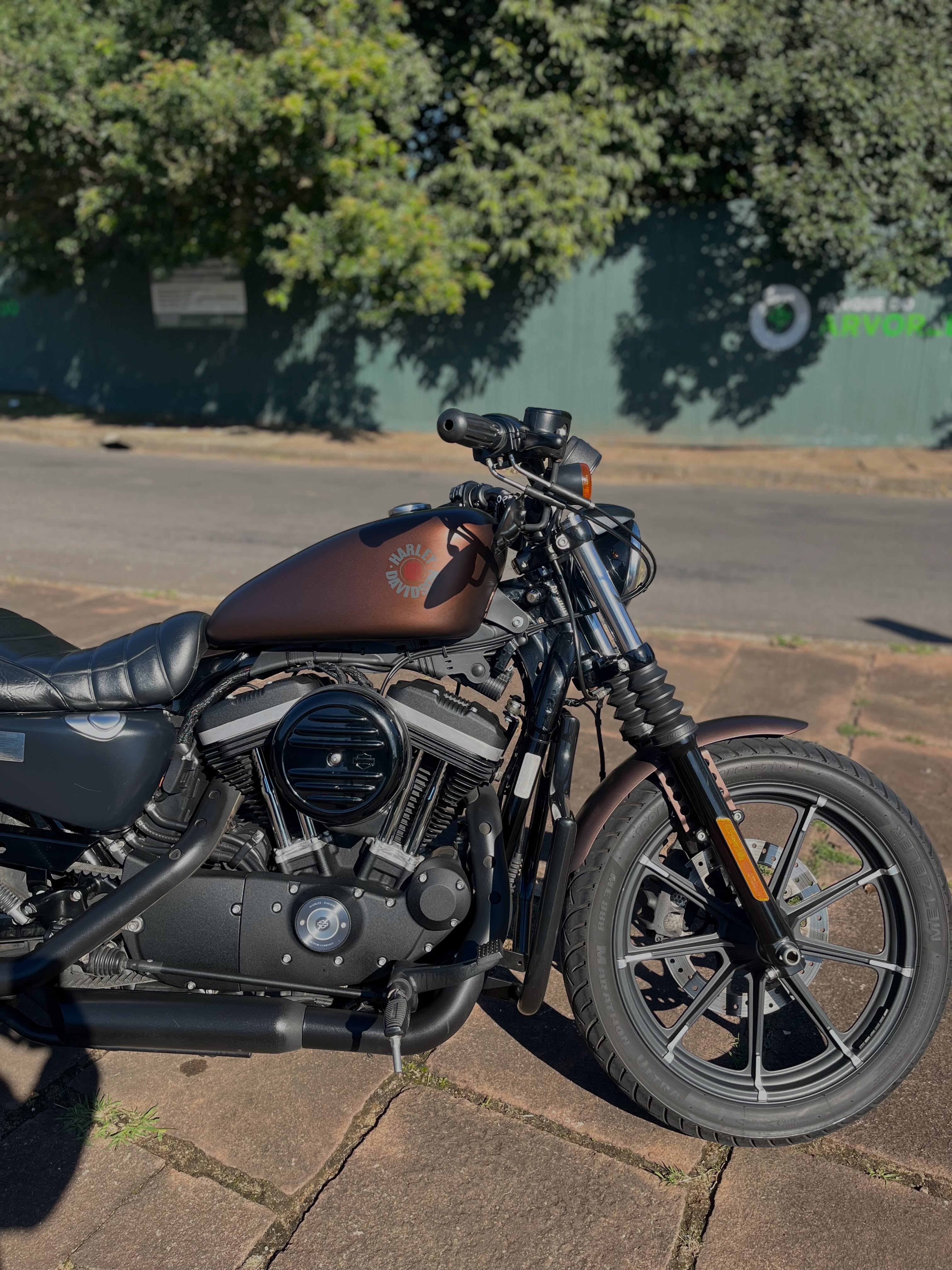 HARLEY-DAVIDSON IRON - Imagem 3