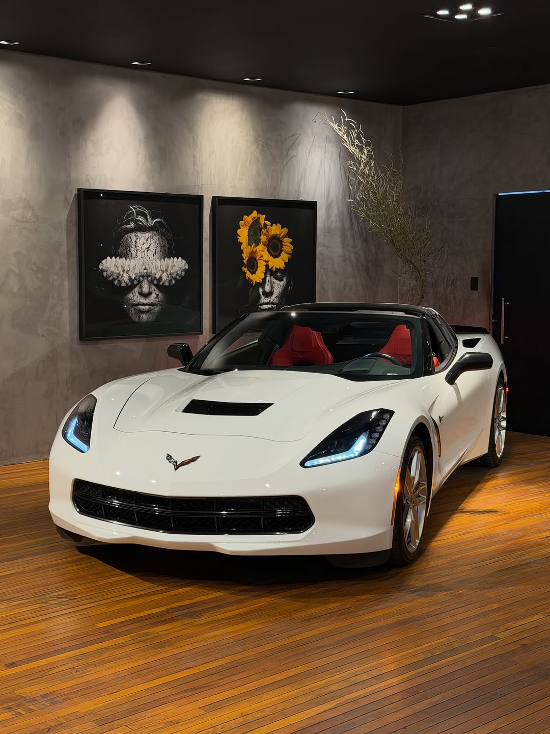 CHEVROLET CORVETTE STINGRAY C7 LT3 - Imagem 17