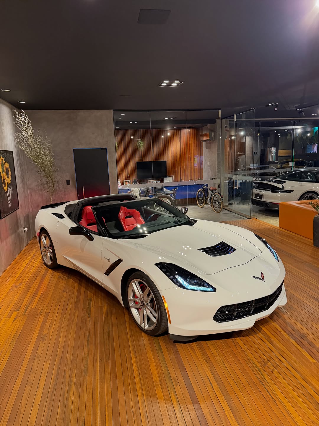 CHEVROLET CORVETTE STINGRAY C7 LT3 - Imagem 18