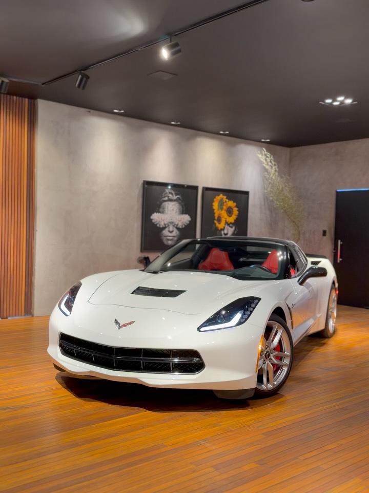 CHEVROLET CORVETTE STINGRAY C7 LT3 - Imagem 19