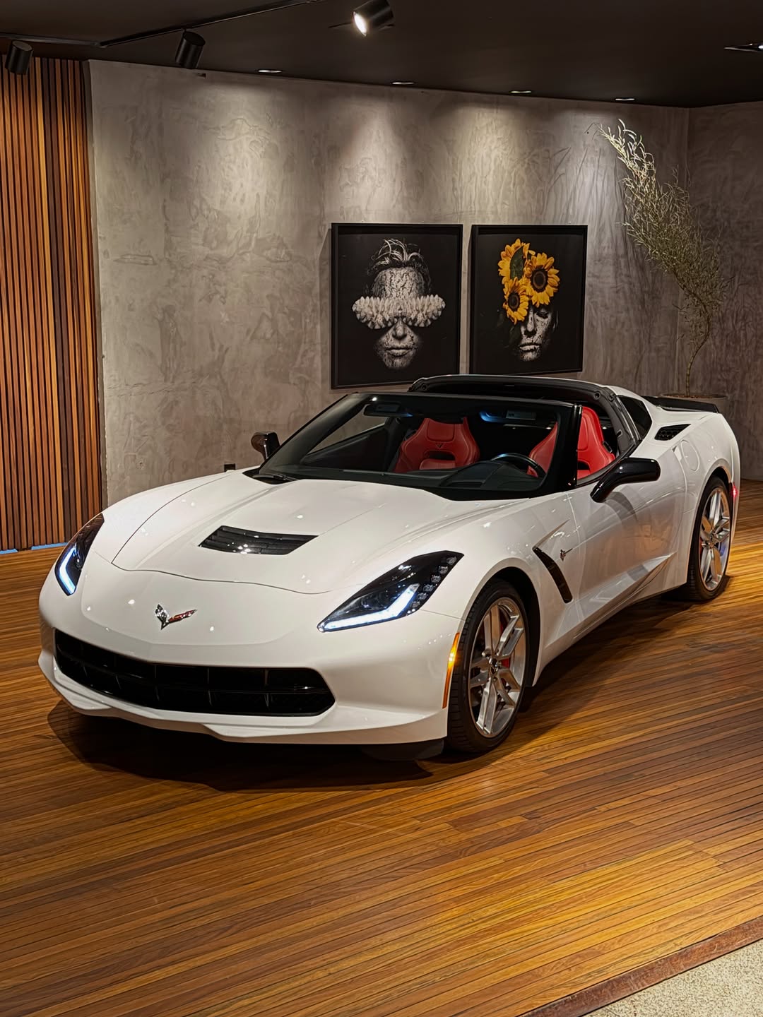 CHEVROLET CORVETTE STINGRAY C7 LT3 - Imagem 3