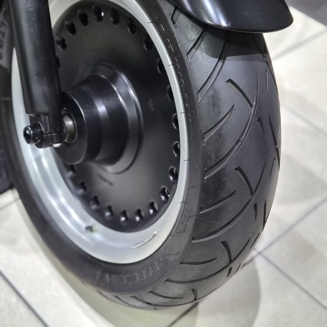 HARLEY-DAVIDSON FAT BOY - Imagem 5