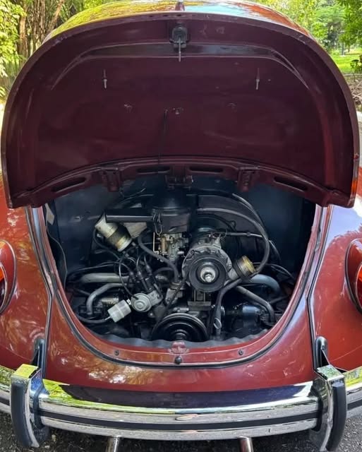 VOLKSWAGEN FUSCA - Imagem 11