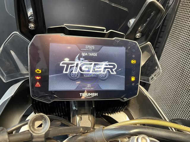 TRIUMPH TIGER 900 RALLY PRO - Imagem 7