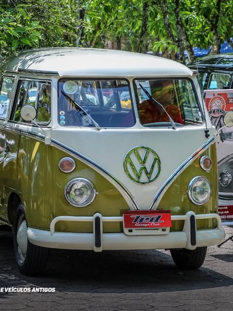 VOLKSWAGEN KOMBI - Imagem 18