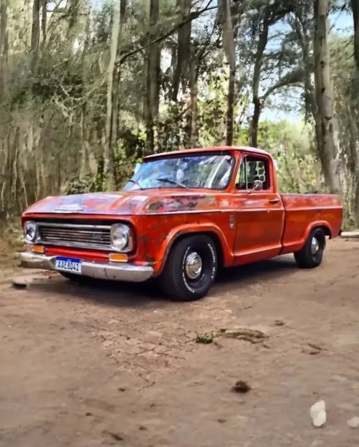 CHEVROLET C10 - Imagem 2
