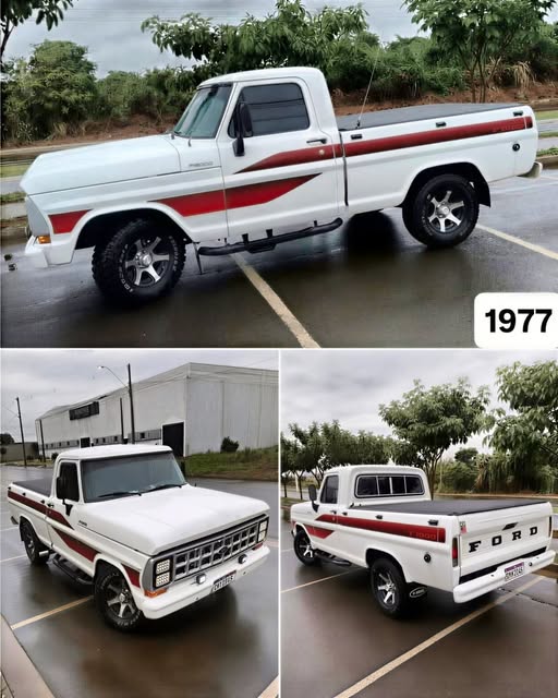 FORD F1000 - Imagem 1