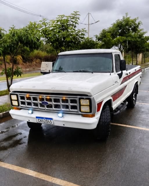 FORD F1000 - Imagem 5