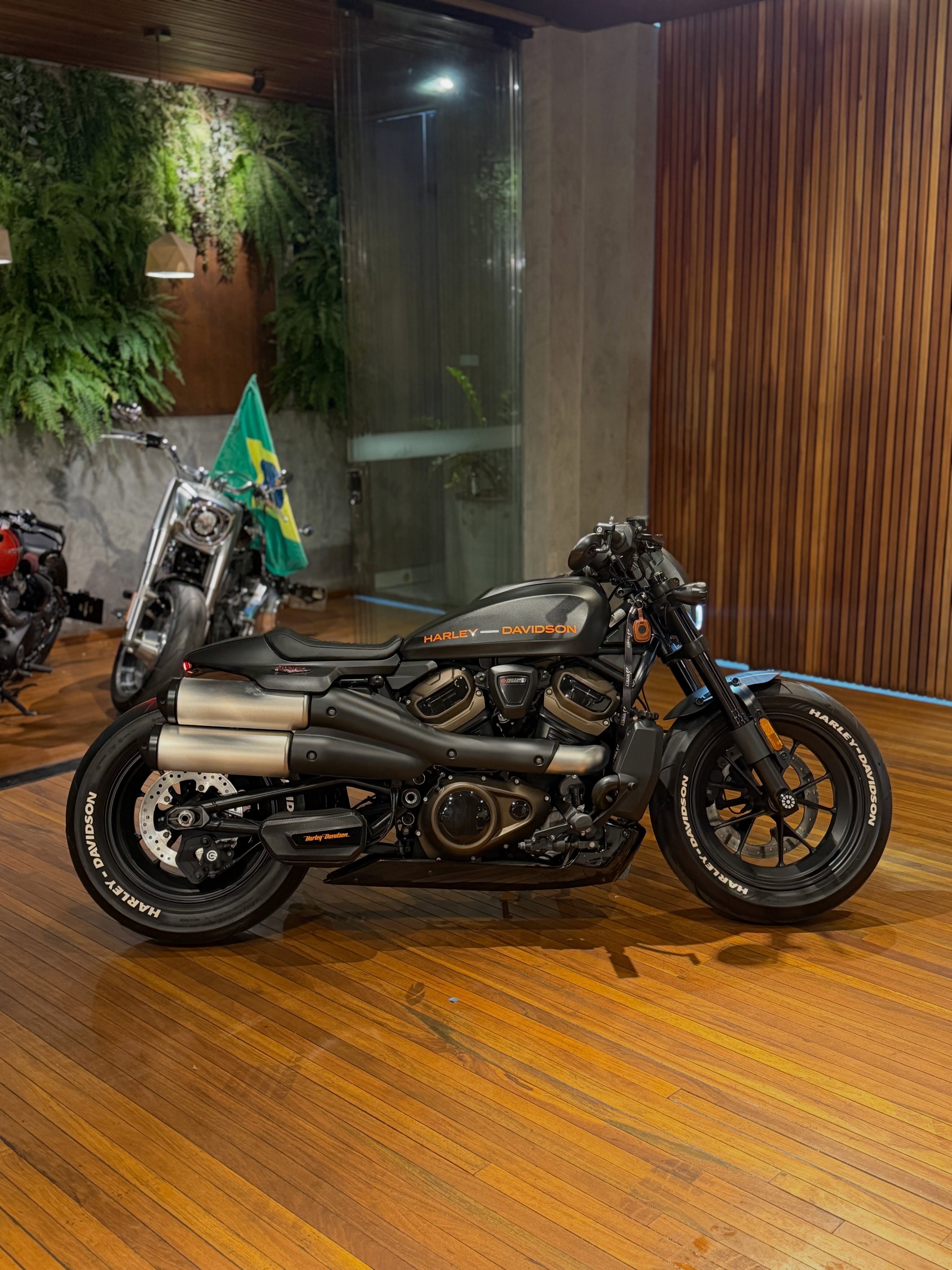 HARLEY-DAVIDSON SPORTSTER S - Imagem 2