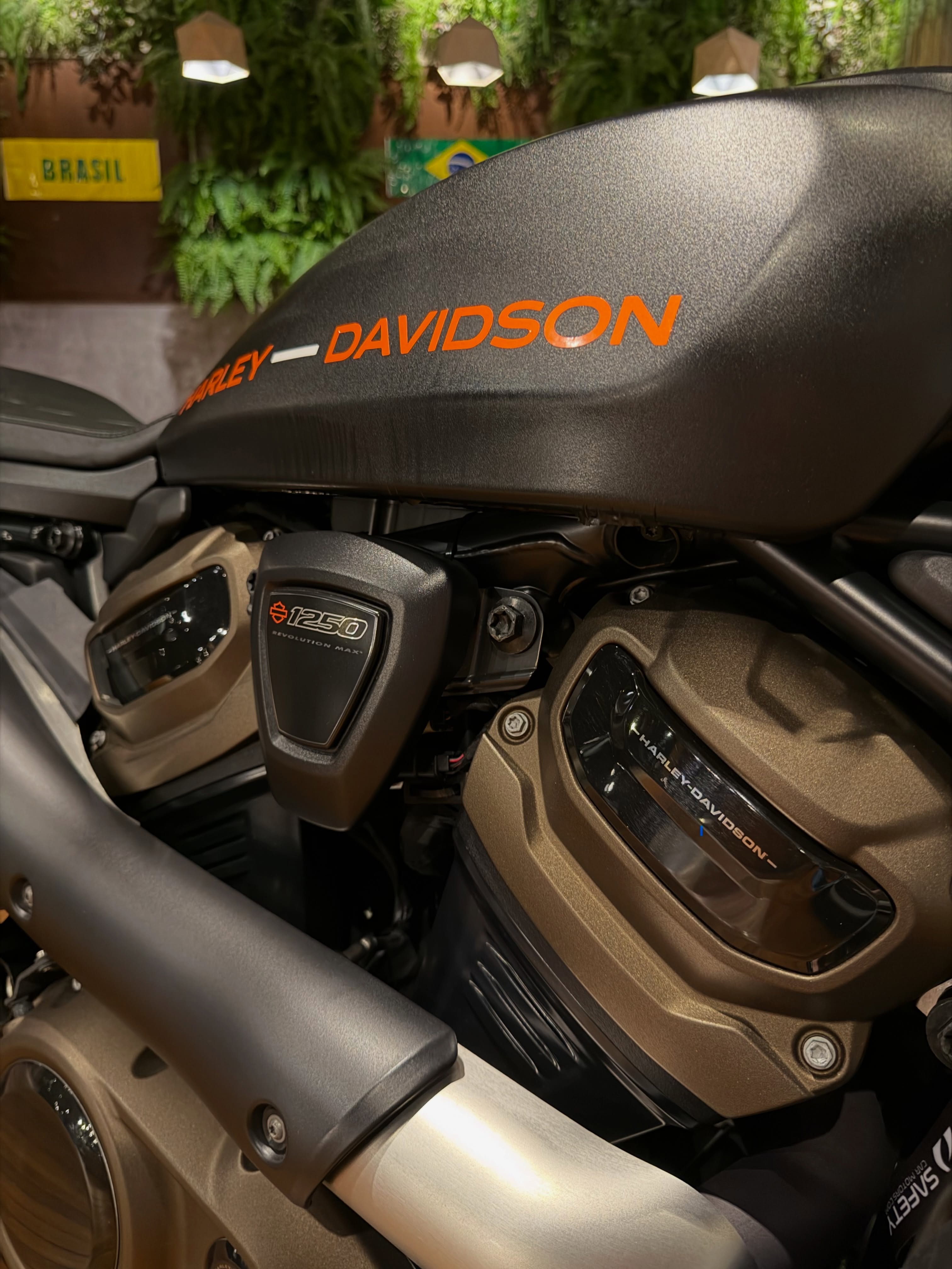 HARLEY-DAVIDSON SPORTSTER S - Imagem 15