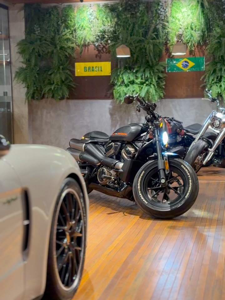 HARLEY-DAVIDSON SPORTSTER S - Imagem 19