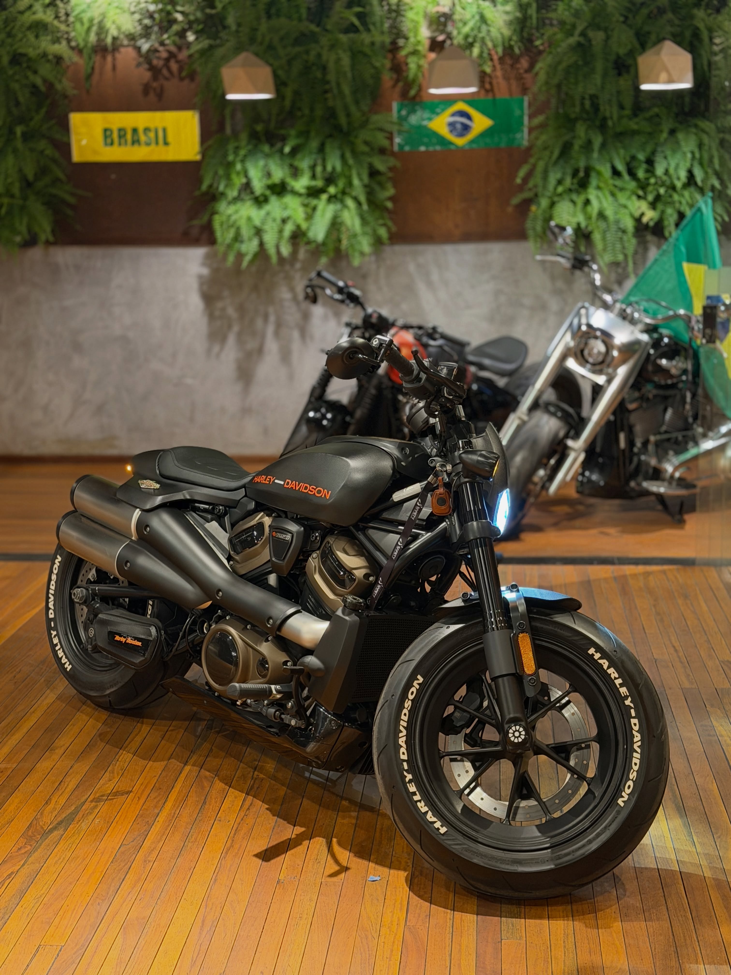 HARLEY-DAVIDSON SPORTSTER S - Imagem 9