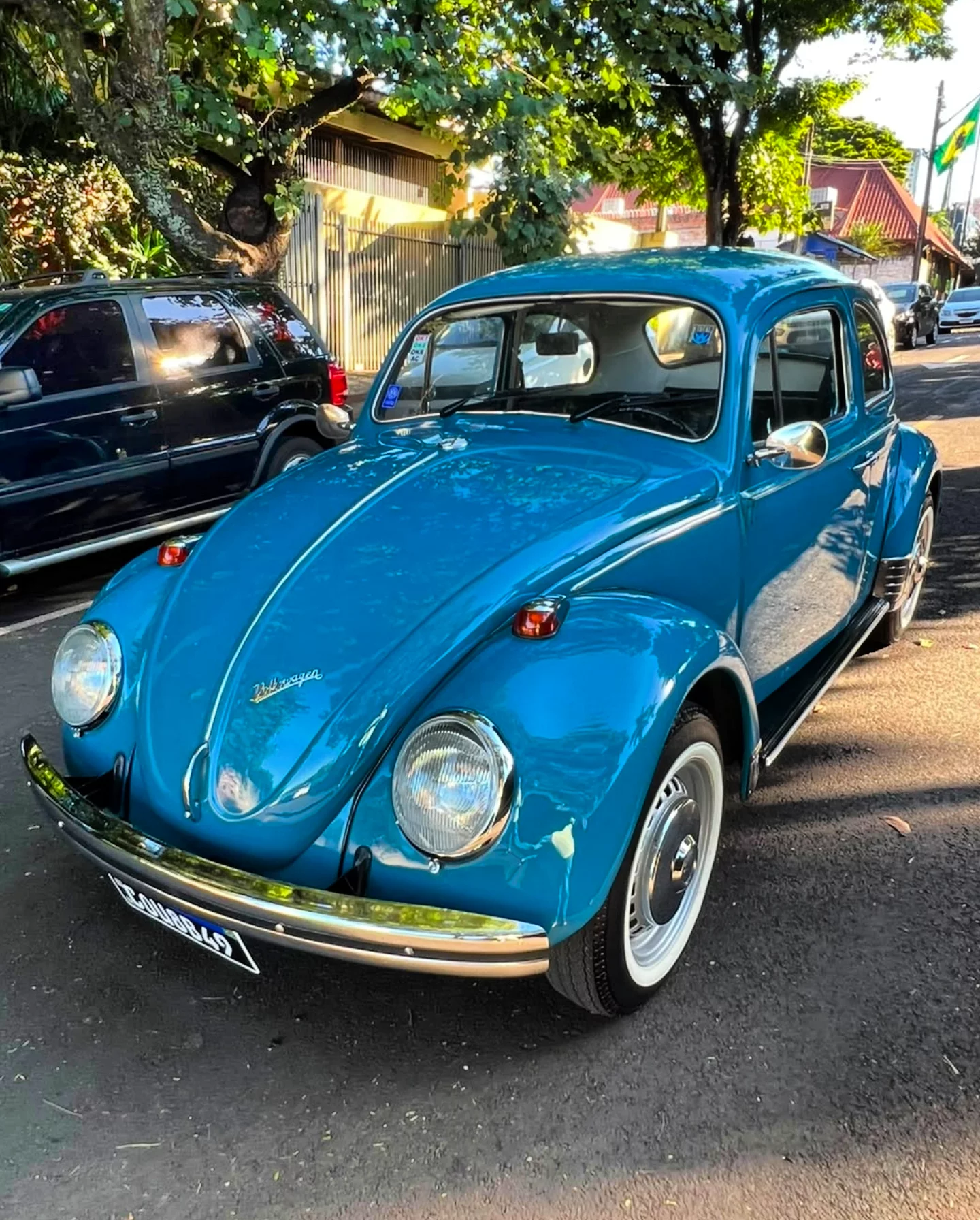 VOLKSWAGEN FUSCA - Imagem 12