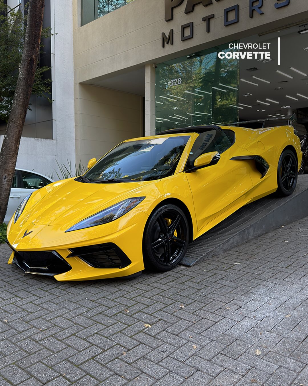 CHEVROLET CORVETTE STINGRAY - Imagem 1