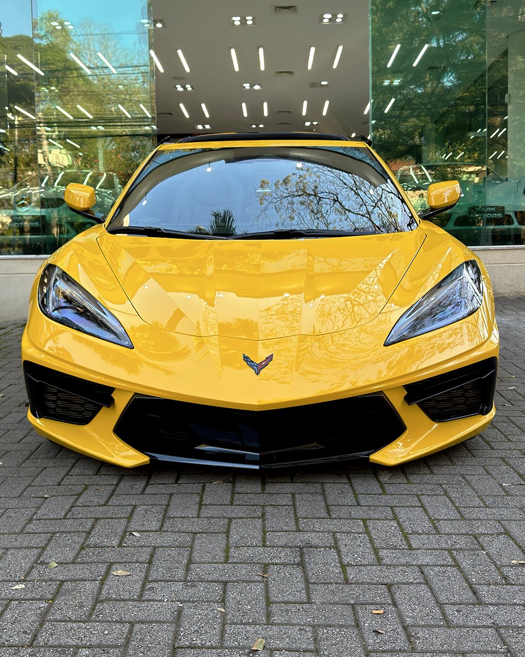 CHEVROLET CORVETTE STINGRAY - Imagem 3
